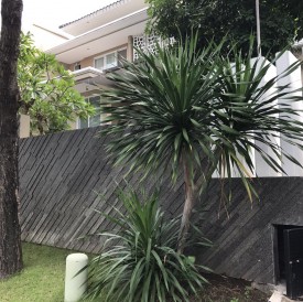 gallery slides - home in stone