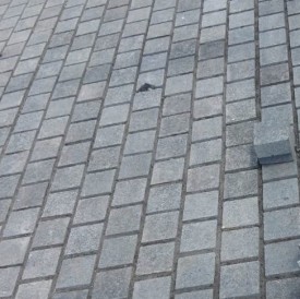 gallery slides - home in stone